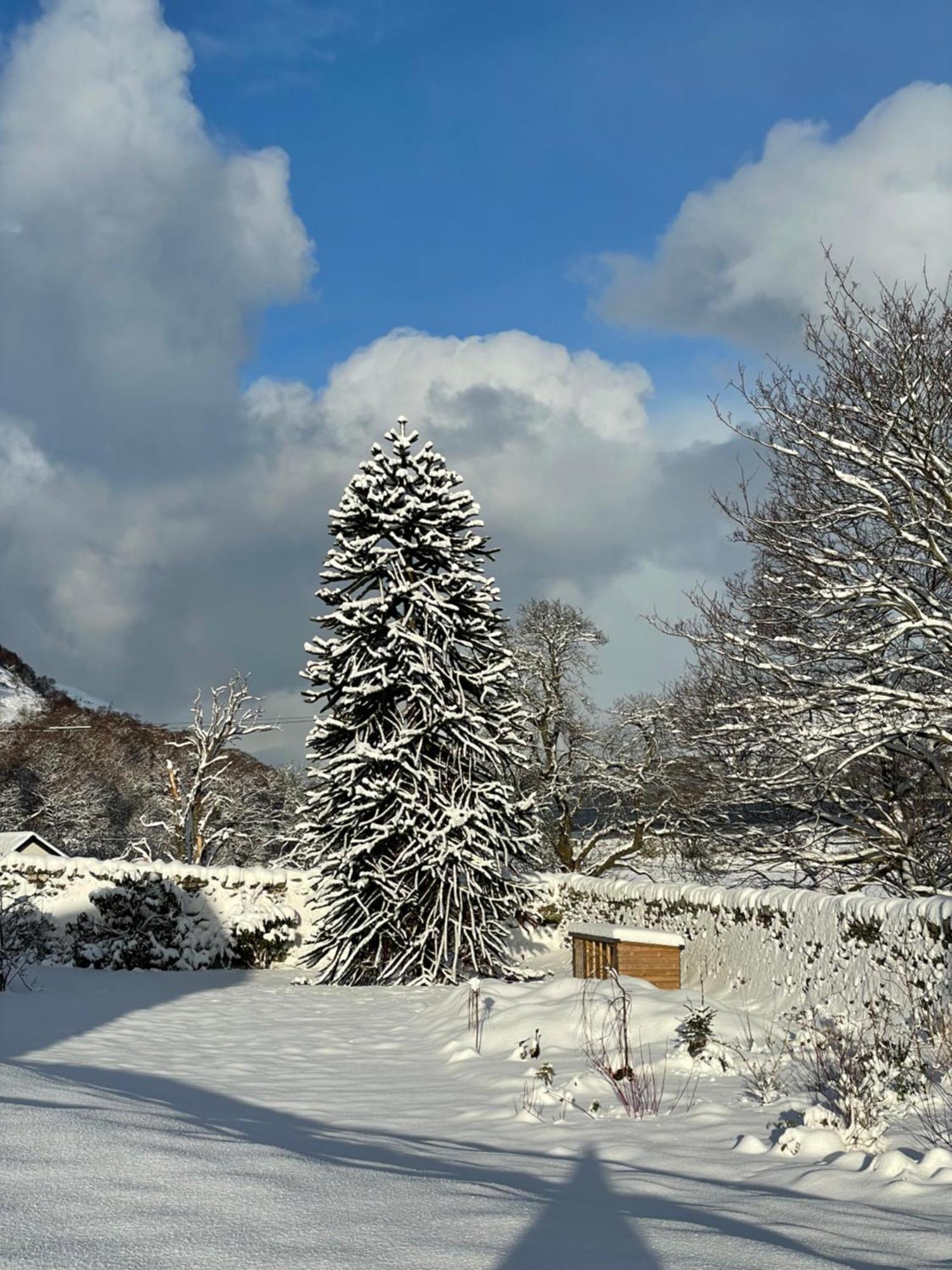 Clachan Garden B&B Garve Exteriör bild